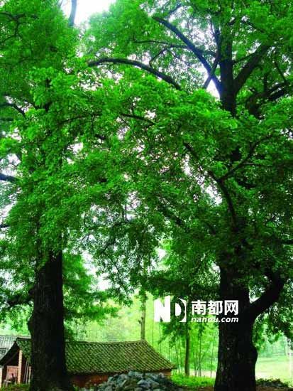  ǧ���������е�ǧ����������