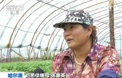 ��˼�Ѽ�ĸ�Ŵ�Ӣ